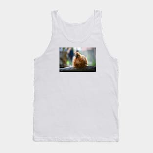 Chicken / Swiss Artwork Photography Tank Top